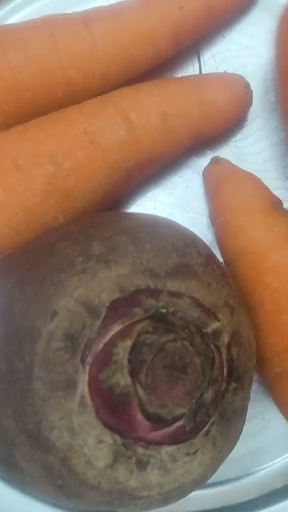 benefits-to-drink-carrot-and-beetroot-juice-youtube