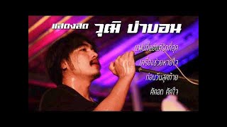 บันทึกการแสดงสดรวมเพลงวุฒิ ป่าบอน