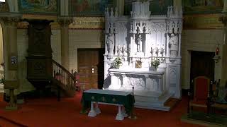 Basilica Parish of the Sacred Hearts Live Stream