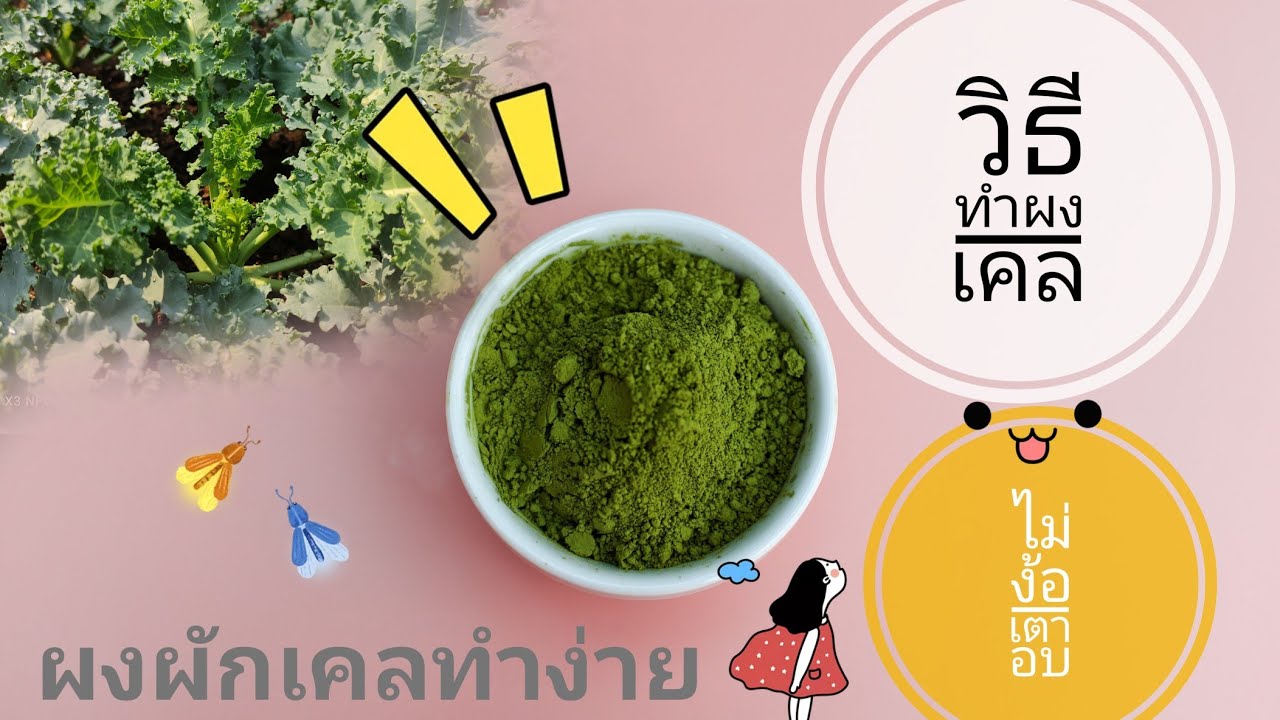 ep8 วิธีทำผงเคล ไม่มีเตาอบก็ทำได้