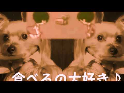 良い子の天気予報