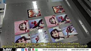 New Arrival Fully Automatic High-Precision UV Flatbed Printer A2 Format 4060