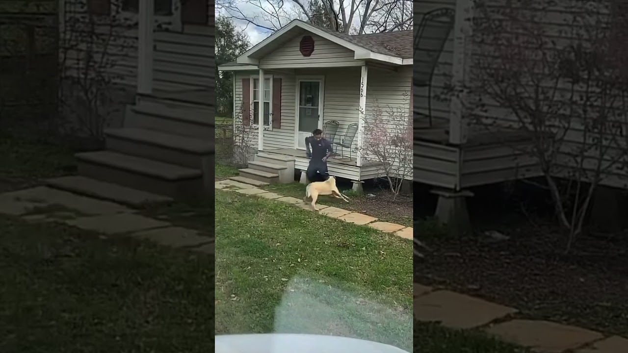 Dog attacks fedex delivery driver
