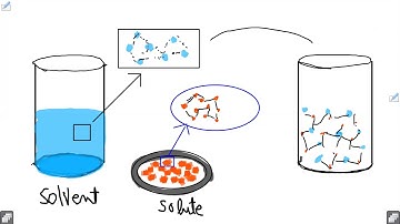 9th chemistry|| Solubility, || Solute solvent interaction