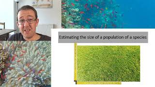 A Level Biology: Ecology and Conservation - sampling techniques