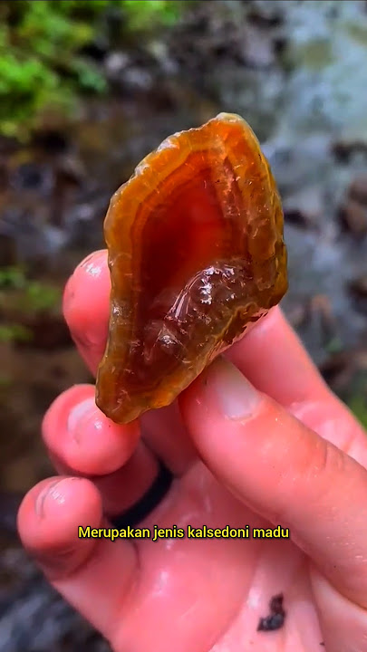 menemukan batu kristal madu