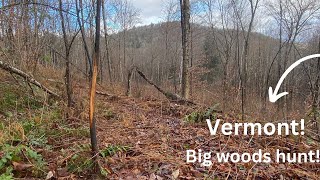 Mid-November hunt in the Mountains of Vermont!