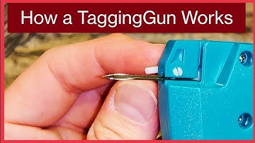TaggingGun 101 - How They Work & How to Fix