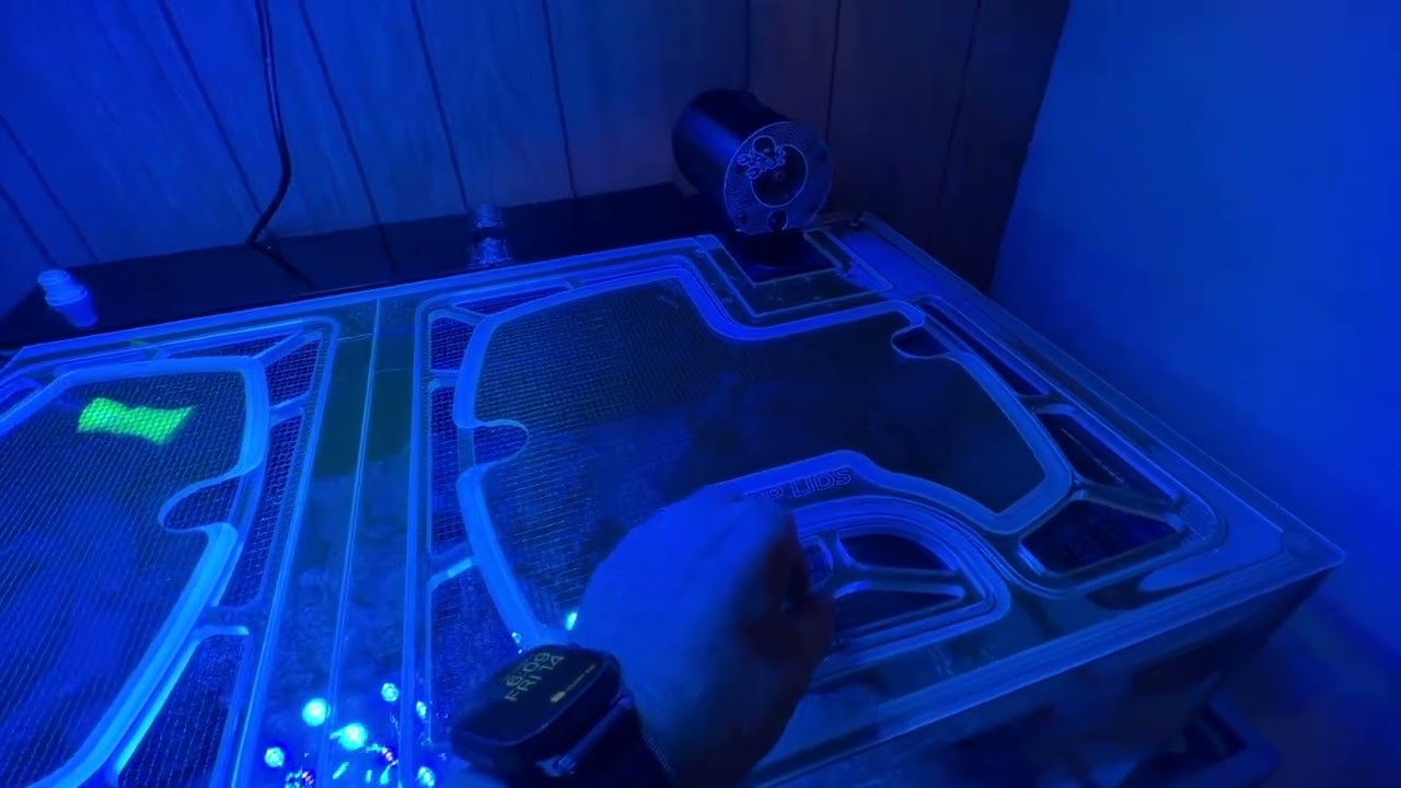 Top Lids Custom Reef Tank Lid Review