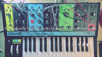 Moog Grandmother - Sound Demo - exploring a patch and spring reverb (no talking)