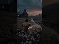 سوره الفلق بصوت الشيخ عبدالرحمن مسعد