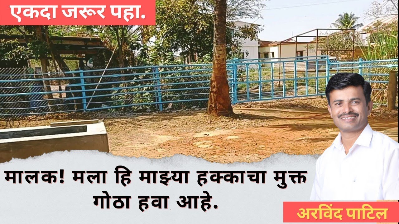 🐃🐄मालक! मला ही माझ्या हक्काचा मुक्त गोठा हवा आहे. ( मुक्त गोठ्याचे शास्त्रशुद्ध पद्धतीने बांधकाम.)🐃🐄