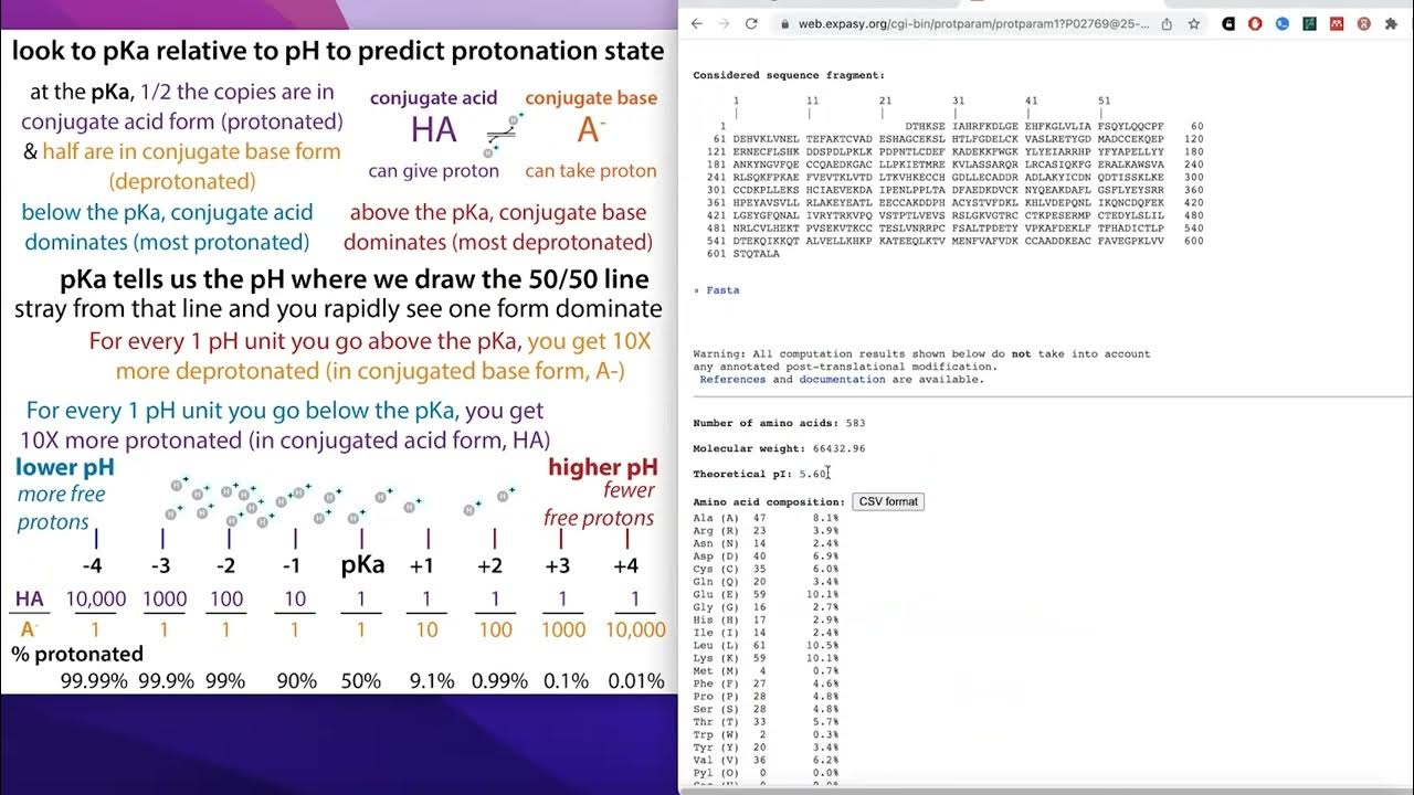 Expasy ProtParam pI (isoelectric point), extinction coefficient for UV