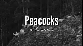 &quot;Peacocks&quot; - The Mountain Goats (Tradução)