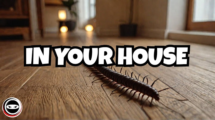 The Real Reason You Are Finding Centipedes Inside Your House