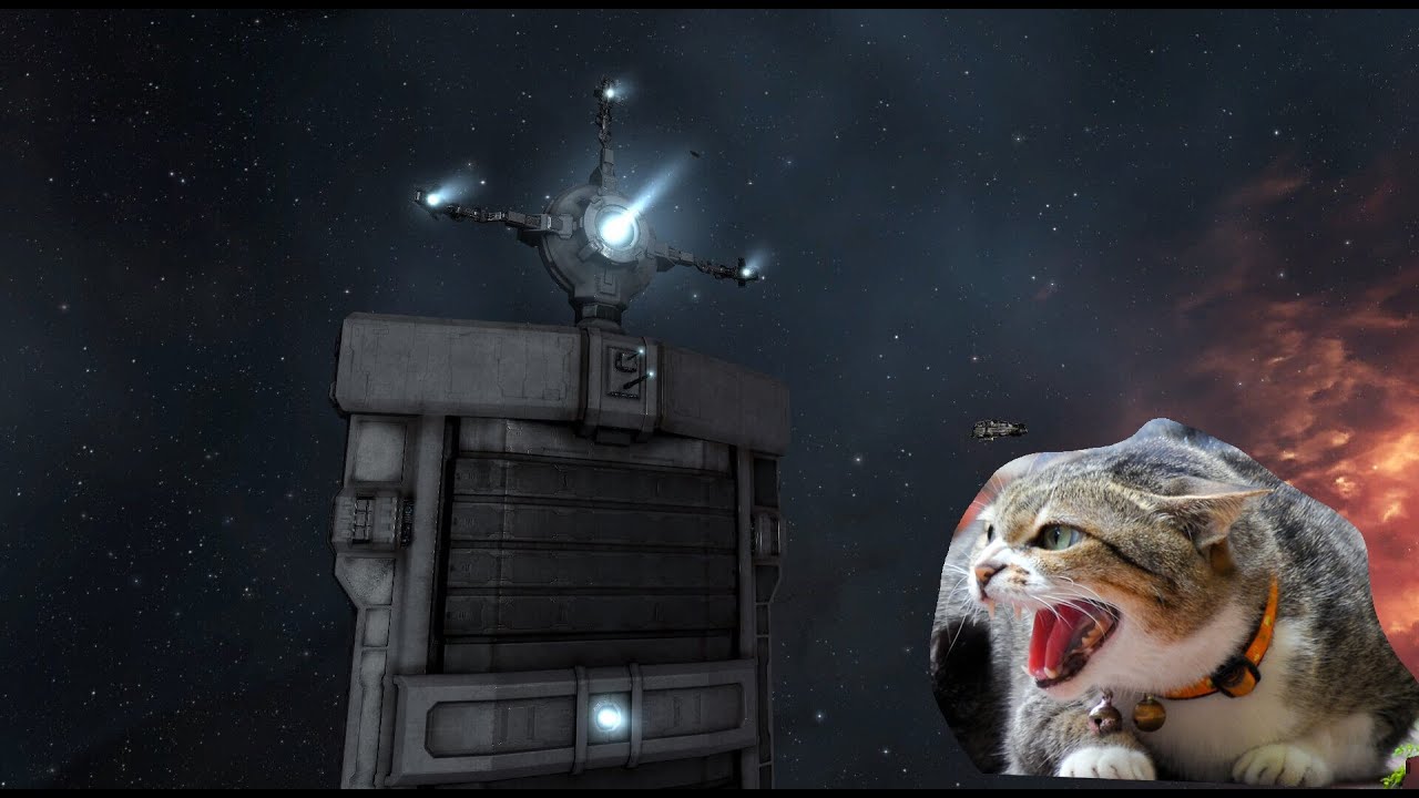 POCO cats - YouTube