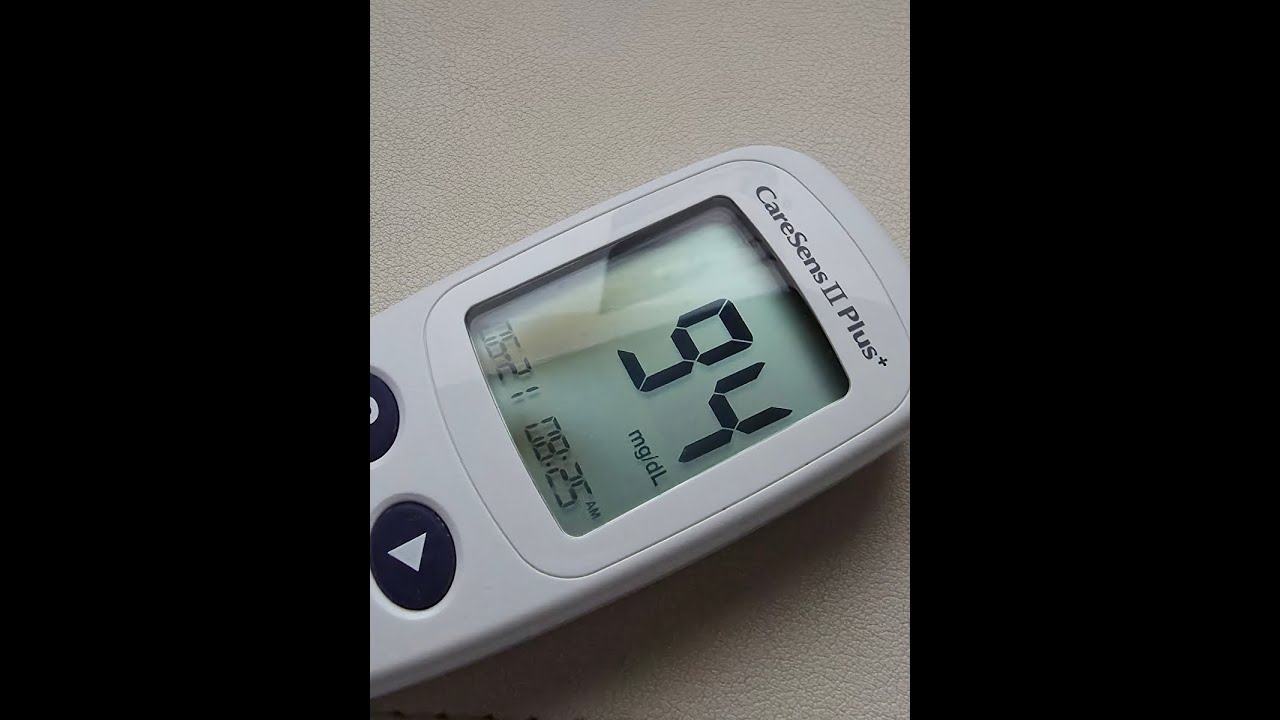 브이로그65 당뇨인의 저당식생활｜공복혈당｜야매 나시고랭｜자연식물식｜라따뚜이｜그릭요거트사과오픈토스트｜겨울맞이 쇼핑목록