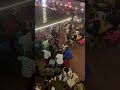 Surprise pup and cafe, Sunday liveband