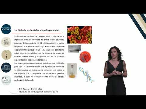 Video: ¿Cuál es el papel de los profagos en la patogenicidad bacteriana?