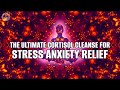 Cortisol Detox - 741 Hz - The Ultimate Cortisol Cleanse For Stress Anxiety Relief And Inner Balance
