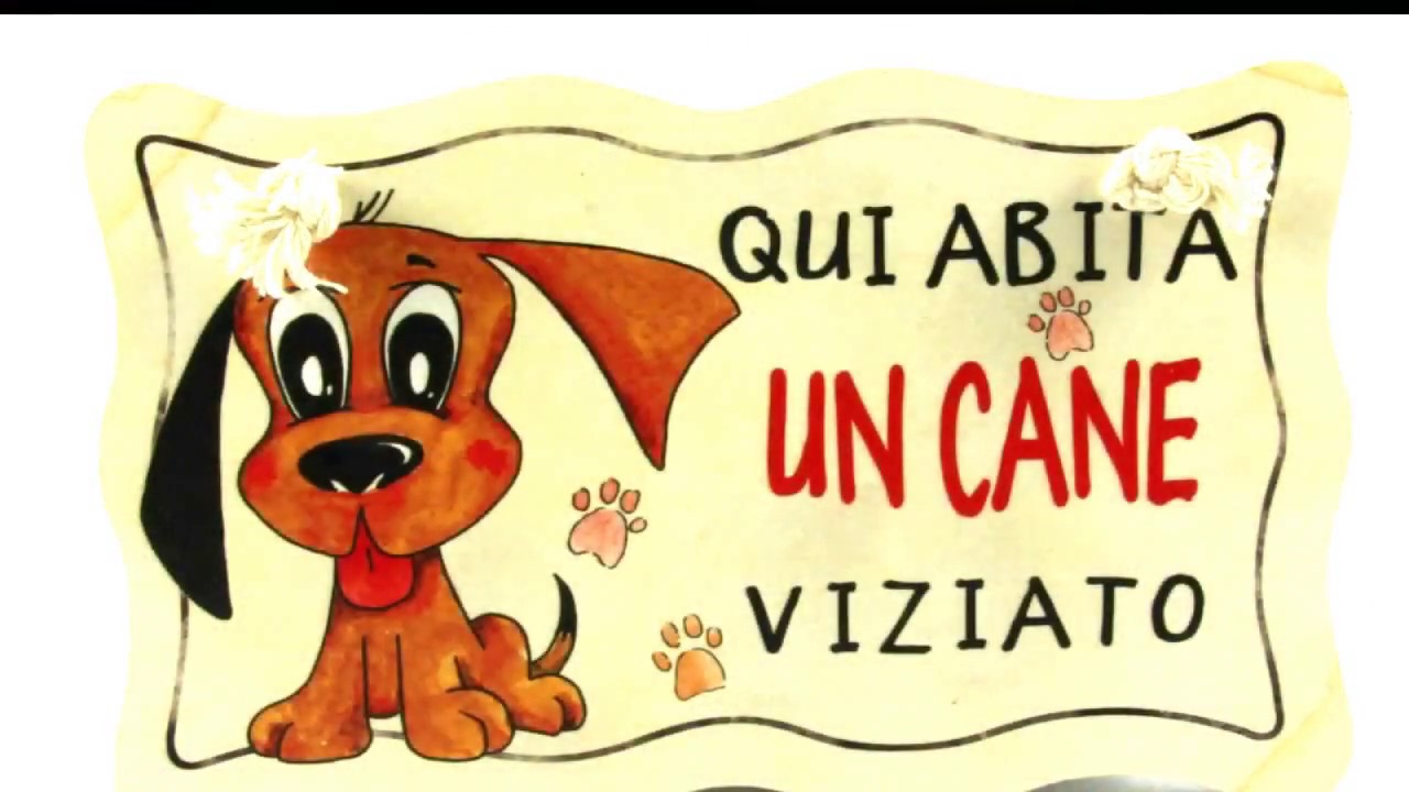 CANE CHE FA LE FUSA YouTube