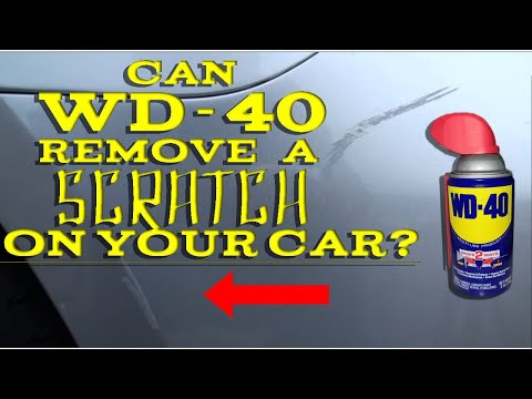 Fact or Fiction wd-40 removes scratches #howto #diy #shorts