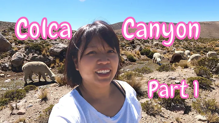 Colca Canyon 2-Day Tour (Part 1) | Wild Vicuna | N...