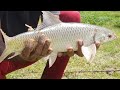 fish hunting  || memancing terbaik || big grass crap catch with singal hook.