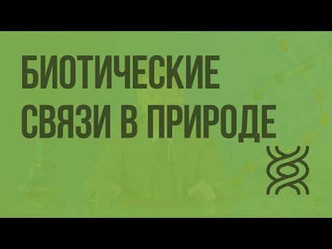 Видео: Мертвые листья являются биотическими или абиотическими?