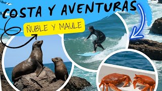 ¡Costa llena de aventuras! De Cobquecura a Curanipe 🦭🏄♀️🦀