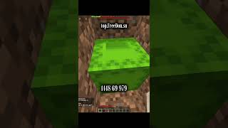 IP:top.FreeDon.su #funtime #hollyworld #Minecraft #rellyworld