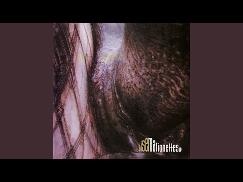 The Marionettes — Rise (Remix)