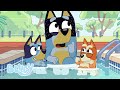 Het Zwembad Bluey Officieel Nederlands Kanaal 
