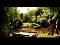 Viñateros del río / cortometraje documental 2010 / Cooperativa PANORAMA