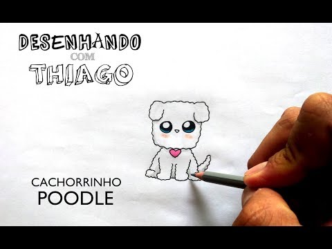 Vídeo: Como Desenhar Um Poodle