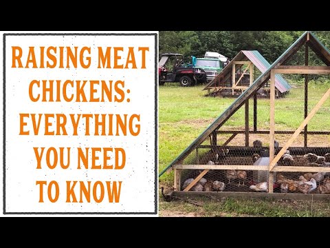 Video: What You Need To Know About Chicken Meat