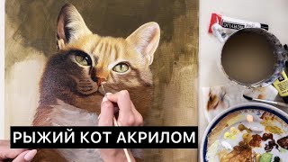 РИСУЕМ КОТА АКРИЛОМ