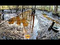 Tearing Out Mother Beaver Dam #1 By Hand Bonus Footage! The Aftermath!|| Saved A Catfish!