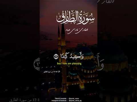 إنهم يكيدون كيدا وأكيد كيدا فمهل الكافرين أمهلهم رويدا فارس عباد