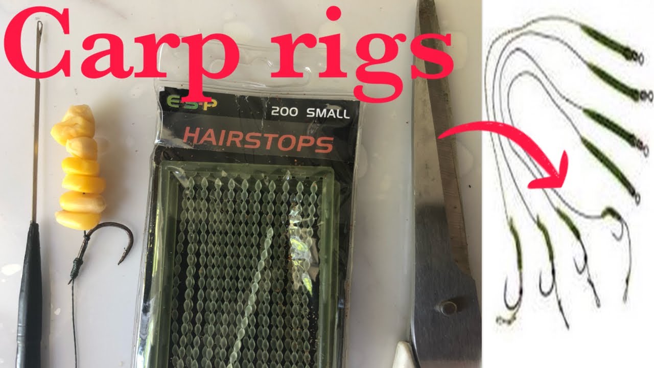 Easy to tie Carp Rigs for Beginners YouTube