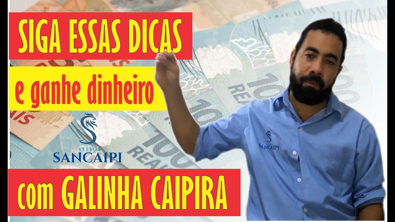 como GANHAR DINHEIRO rápido com a criação de GALINHA CAIPIRA para abate como GANHAR DINHEIRO rápido com a criação de GALINHA CAIPIRA para abate