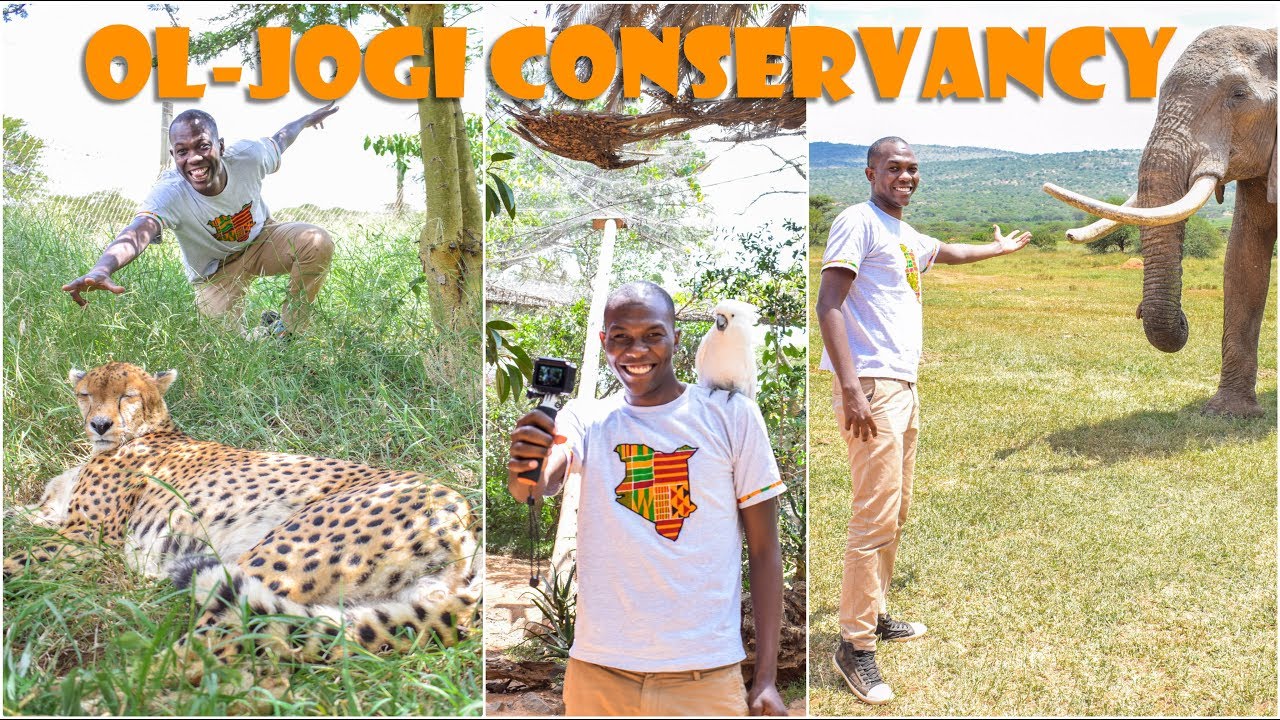 ONLY BEAR IN AFRICA | Ol-Jogi Conservancy | Travel Vlog