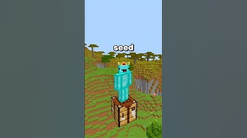 Minecraft TOTEM of UNDYING SPEEDRUN ⛏💎