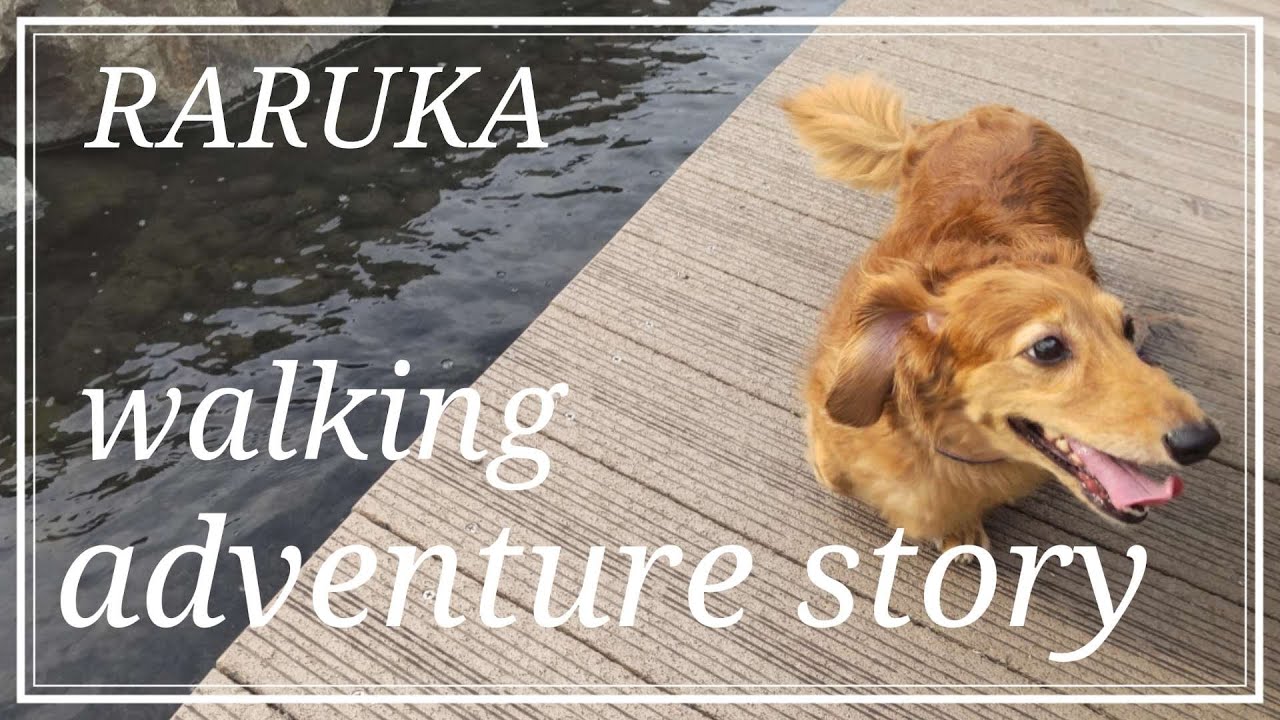 ラルカの冒険譚 YouTube