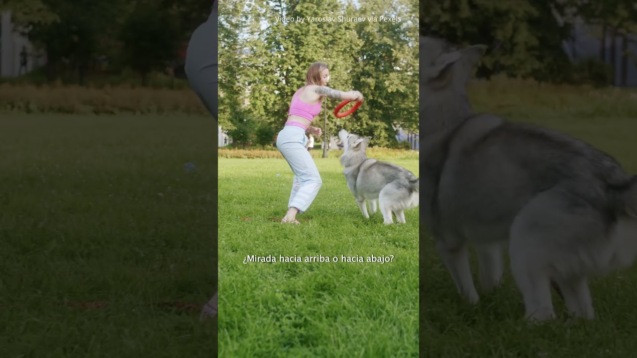 El secreto para despertar más feliz #shorts #tedx