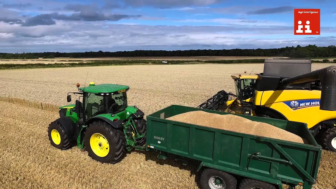 Beal Farm World Wheat Record 2015