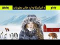 د انترکتيکا په اړه جالب معلومات Pashto Live Library 