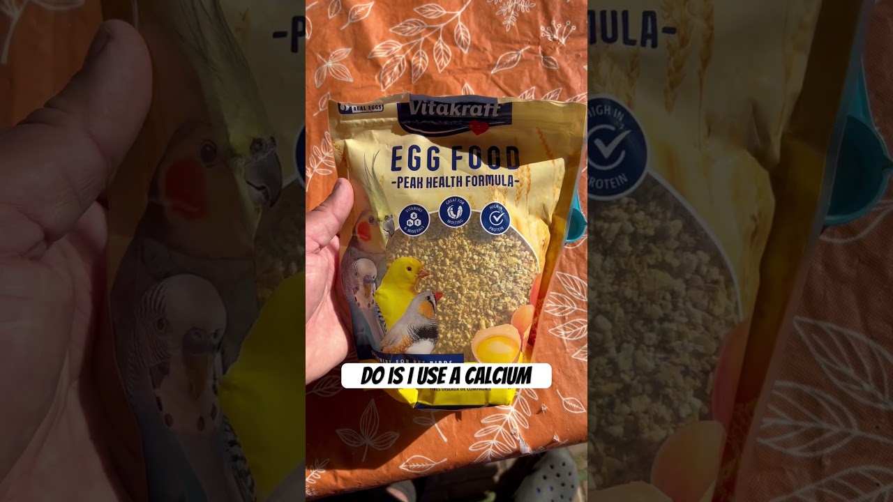 CALCIUM POWDER FOR YOUR BIRDS!!! 👀👀
