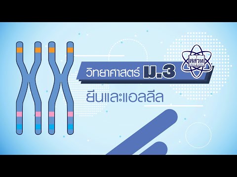 วีดีโอ: อะไรคือความแตกต่างในชุดของอัลลีลระหว่างบุคคลในประชากรที่เรียกว่า?