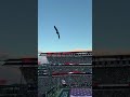 Fly Eagle Fly... Playoff Edition #shorts